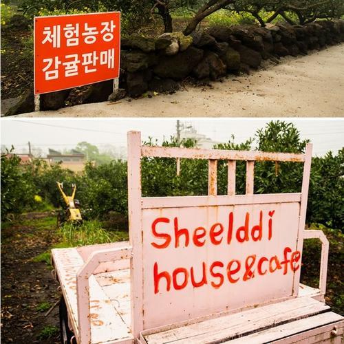 Sheelddi Pension Seogwipo Exterior foto